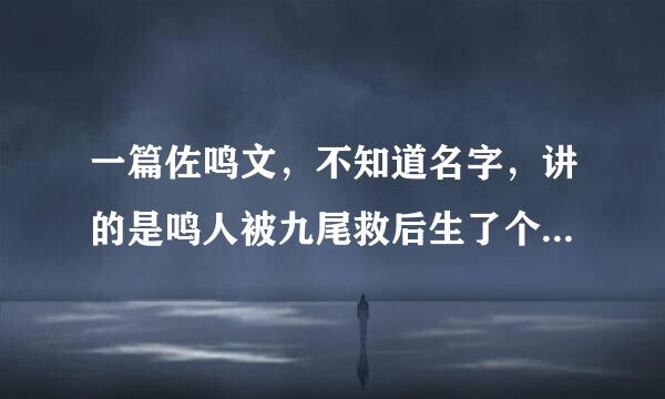 一篇佐鸣文，不知道名字，讲的是鸣人被九尾救后生了个儿子，鸣人续了来自