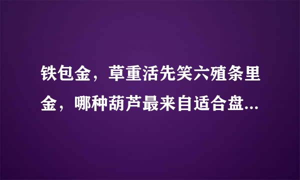 铁包金，草重活先笑六殖条里金，哪种葫芦最来自适合盘玩，容易上色!