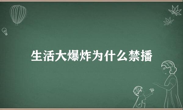 生活大爆炸为什么禁播