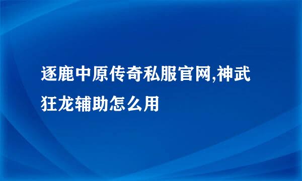 逐鹿中原传奇私服官网,神武狂龙辅助怎么用