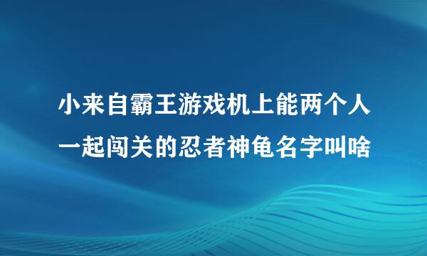 小来自霸王游戏机上能两个人一起闯关的忍者神龟名字叫啥