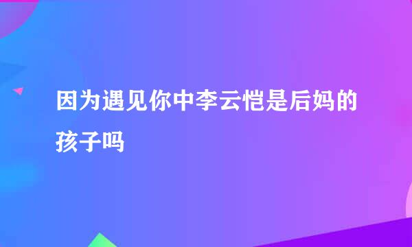 因为遇见你中李云恺是后妈的孩子吗