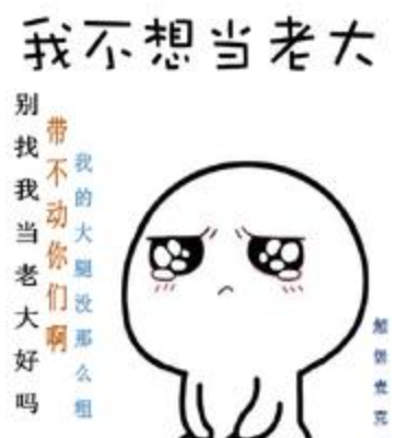 《我不想当老大》txt下载在线阅读全文，求百度网盘云资源