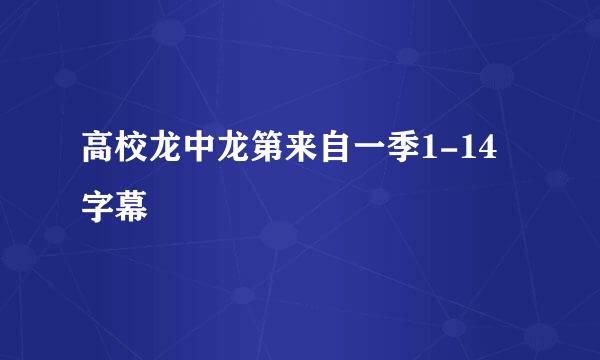 高校龙中龙第来自一季1-14字幕