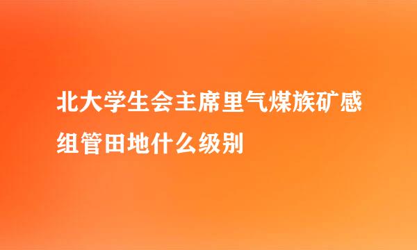 北大学生会主席里气煤族矿感组管田地什么级别