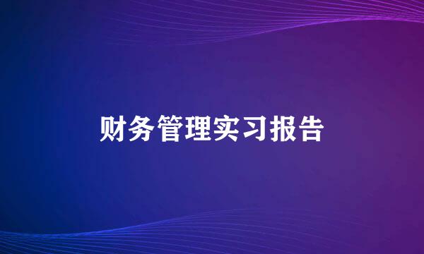 财务管理实习报告