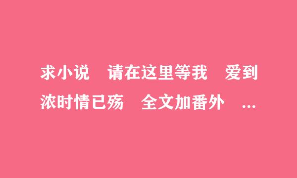 求小说 请在这里等我 爱到浓时情已殇 全文加番外 TXT格式 邮箱来自you163163xiang@163.com，谢谢！