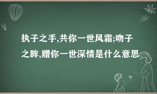 执子之手,共你一世风霜;吻子之眸,赠你一世深情是什么意思