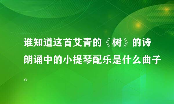 谁知道这首艾青的《树》的诗朗诵中的小提琴配乐是什么曲子。