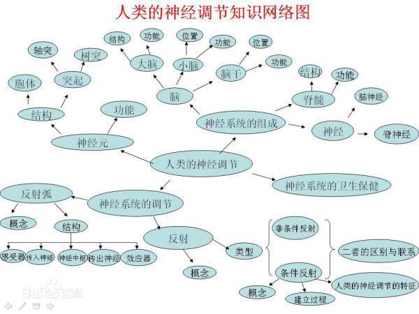 网络的一般知识和特点