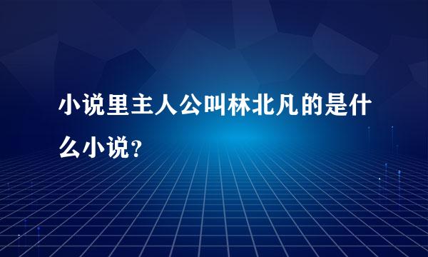 小说里主人公叫林北凡的是什么小说？