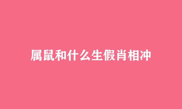 属鼠和什么生假肖相冲