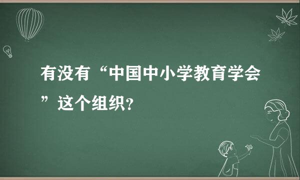 有没有“中国中小学教育学会”这个组织？