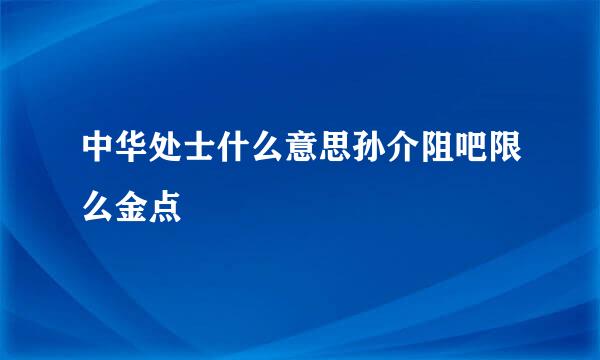 中华处士什么意思孙介阻吧限么金点