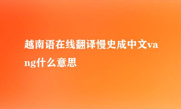 越南语在线翻译慢史成中文vang什么意思