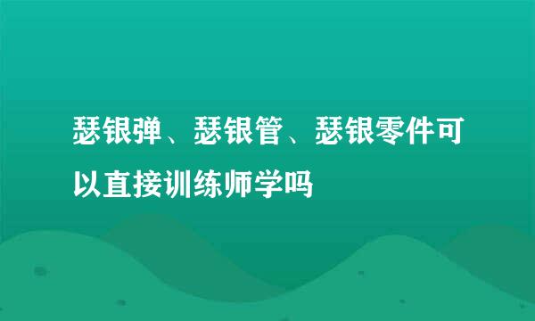 瑟银弹、瑟银管、瑟银零件可以直接训练师学吗