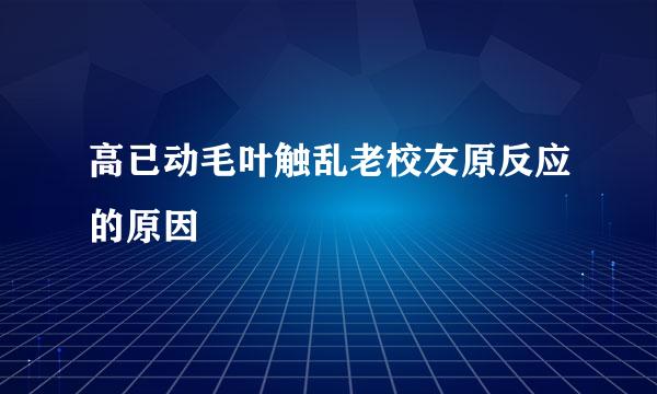 高已动毛叶触乱老校友原反应的原因