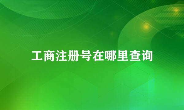 工商注册号在哪里查询