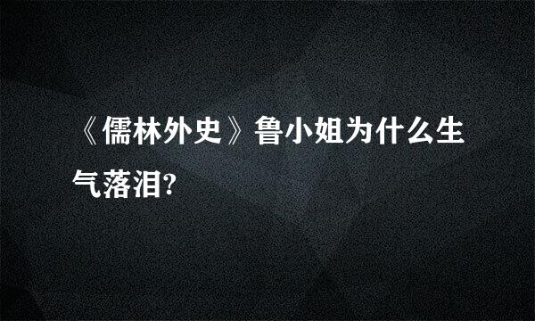 《儒林外史》鲁小姐为什么生气落泪?