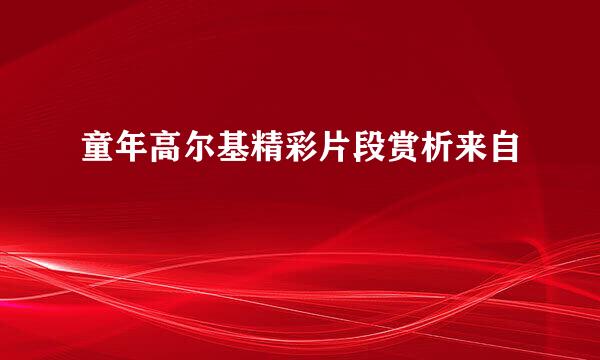 童年高尔基精彩片段赏析来自