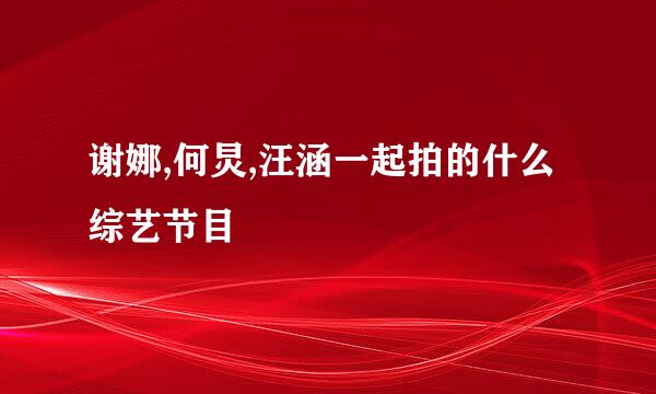 谢娜,何炅,汪涵一起拍的什么综艺节目