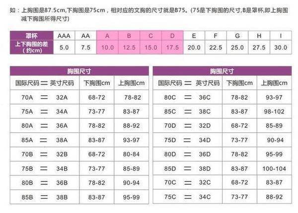 胸围80d是多少厘米