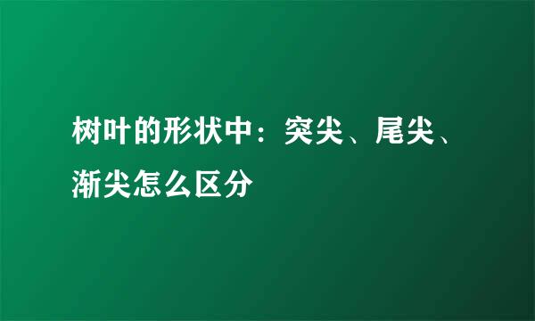 树叶的形状中：突尖、尾尖、渐尖怎么区分