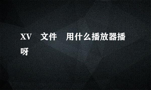 XV 文件 用什么播放器播呀