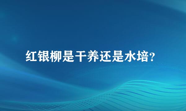 红银柳是干养还是水培？