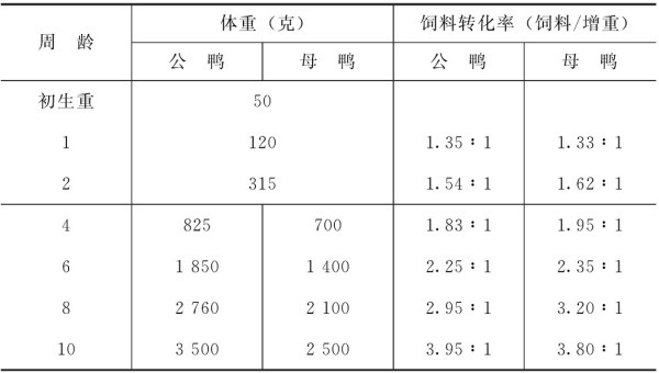 番鸭与半番鸭的生章产性能如何？