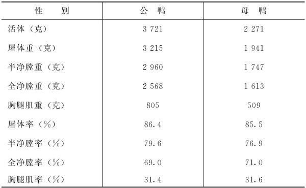 番鸭与半番鸭的生章产性能如何？