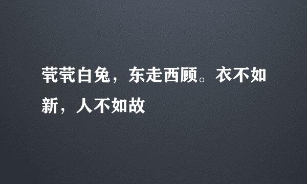 茕茕白兔，东走西顾。衣不如新，人不如故