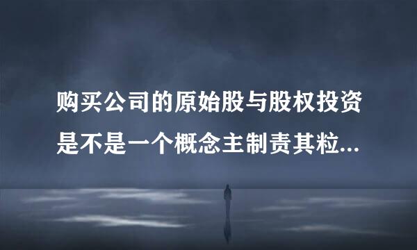 购买公司的原始股与股权投资是不是一个概念主制责其粒又练厚固材促呀？