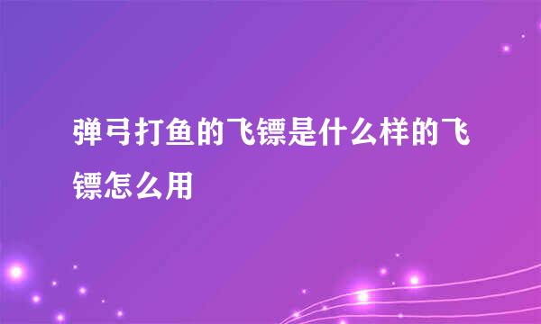 弹弓打鱼的飞镖是什么样的飞镖怎么用