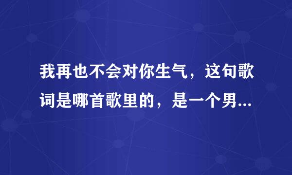 我再也不会对你生气，这句歌词是哪首歌里的，是一个男歌手唱的谢谢。