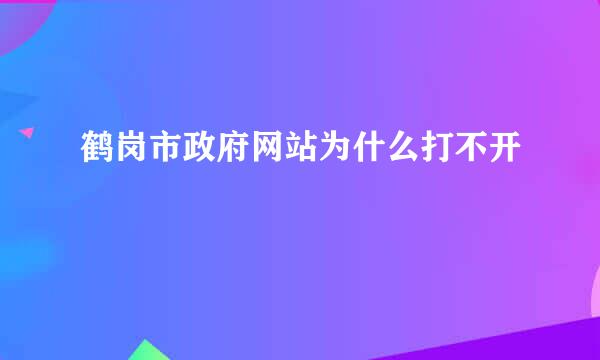 鹤岗市政府网站为什么打不开