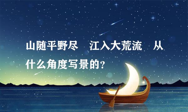 山随平野尽 江入大荒流 从什么角度写景的？