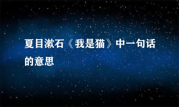 夏目漱石《我是猫》中一句话的意思