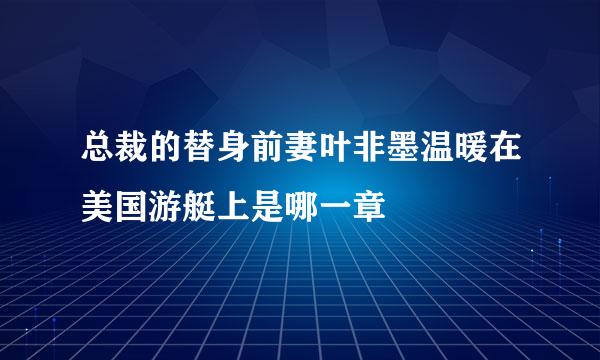 总裁的替身前妻叶非墨温暖在美国游艇上是哪一章