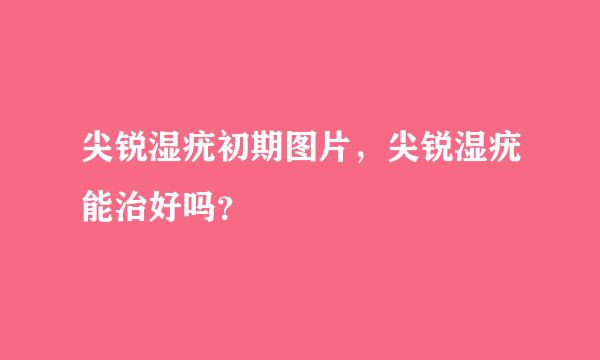 尖锐湿疣初期图片，尖锐湿疣能治好吗？