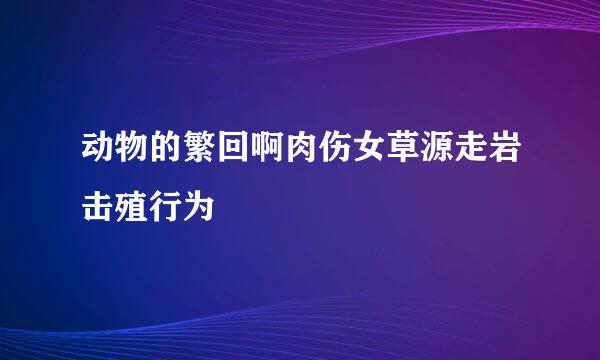 动物的繁回啊肉伤女草源走岩击殖行为