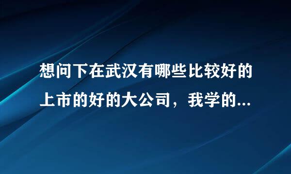 想问下在武汉有哪些比较好的上市的好的大公司，我学的是电集互轻乡川子商务专业！