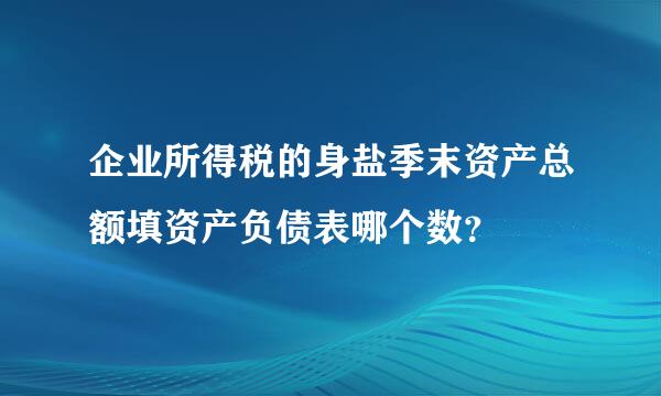 企业所得税的身盐季末资产总额填资产负债表哪个数？