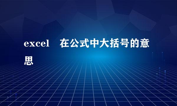 excel 在公式中大括号的意思