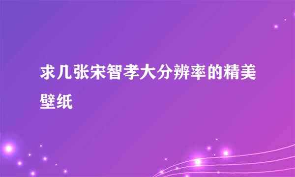 求几张宋智孝大分辨率的精美壁纸