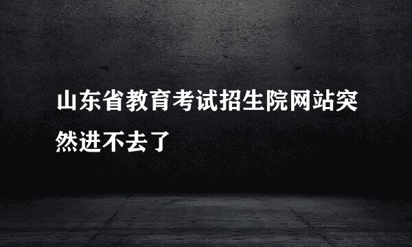 山东省教育考试招生院网站突然进不去了