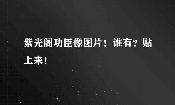 紫光阁功臣像图片！谁有？贴上来！