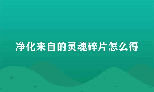 净化来自的灵魂碎片怎么得