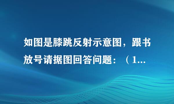 如图是膝跳反射示意图，跟书放号请据图回答问题：（1）图中各字母分别代表的结构名称是：A______，C______，D____