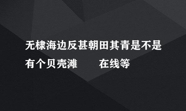 无棣海边反甚朝田其青是不是有个贝壳滩  在线等